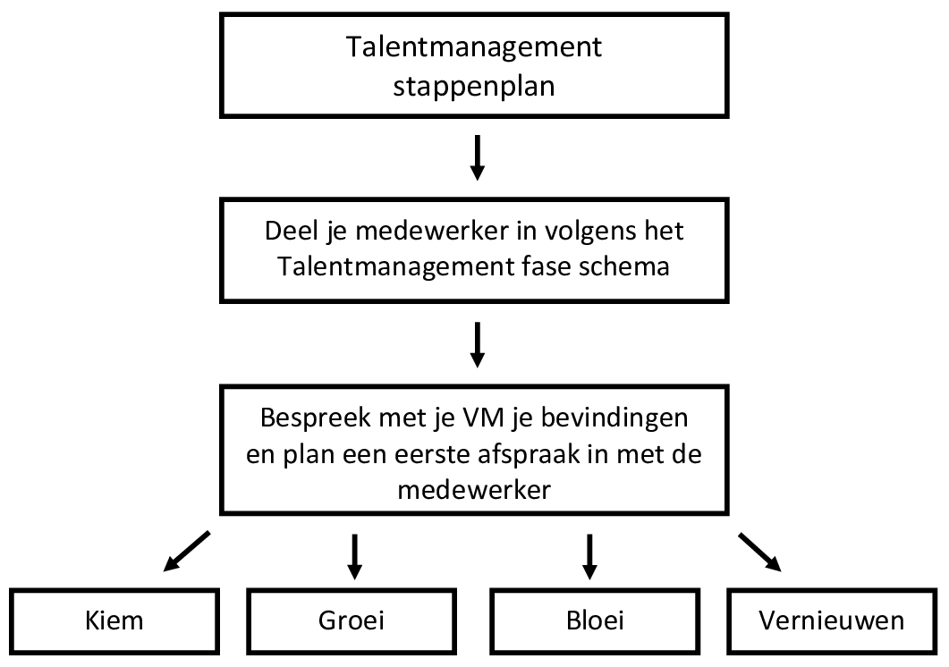 Stappenplan Talentmanagement
