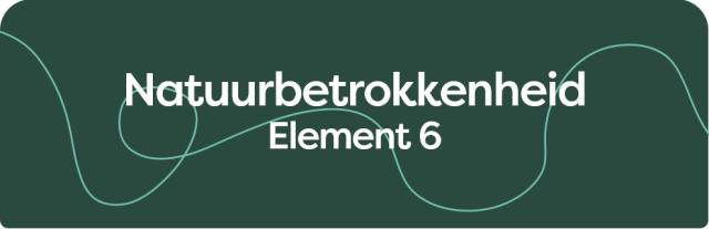 Element 6
