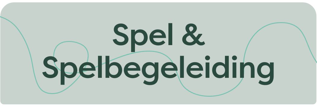Spel spelbegeleiding