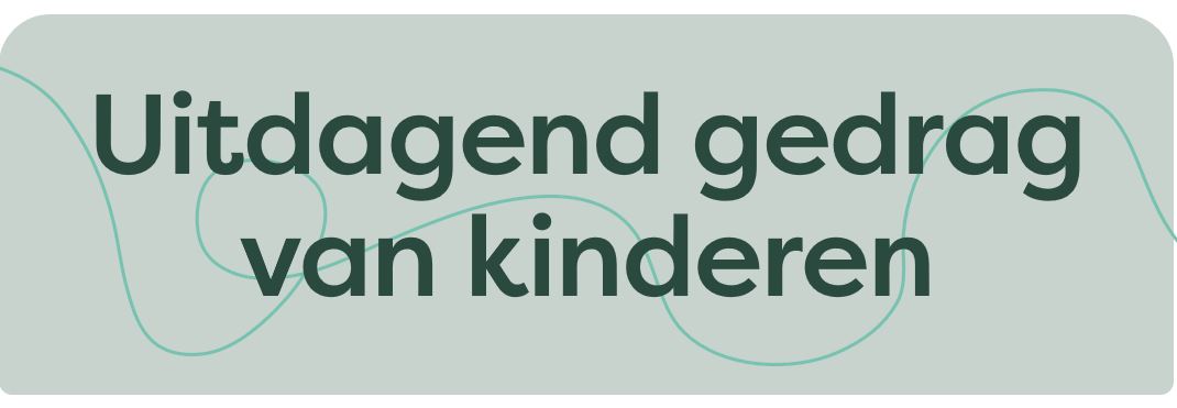 Uitdagend gedrag